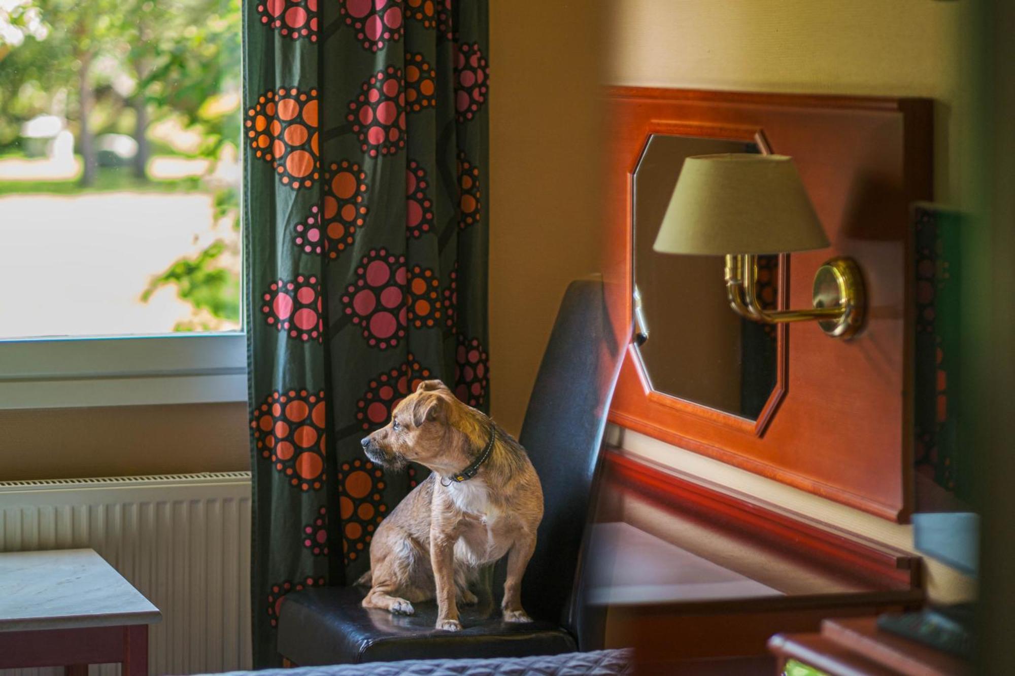 Jaemtkrogen Hotell Bräcke Rom bilde